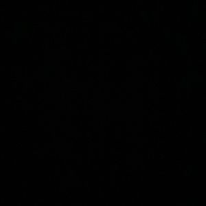 Meet your Posher, Lisairy